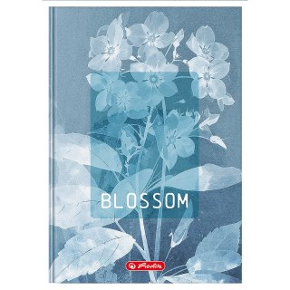 Brulion A5 96k kratka z marginesem BLOSSOM 400206436 HERLITZ