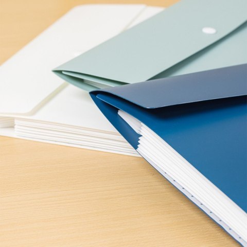 Teczka ofertowa A4 8 przegródek Linfini Expanding File mix kolorów EF606 DELI