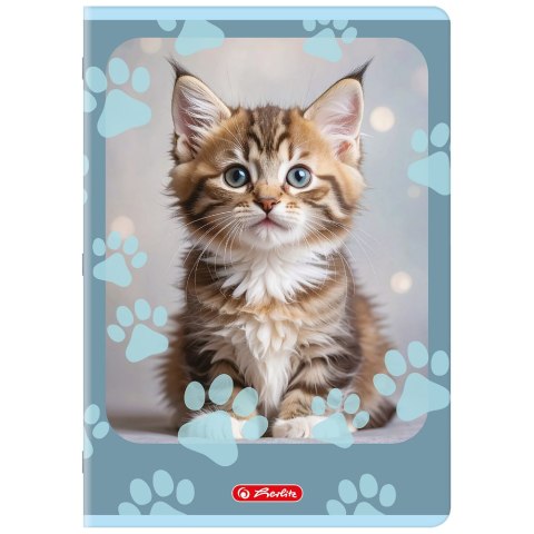 Zeszyt A4 32k kratka z marginesem ANIMALS 400206430 HERLITZ