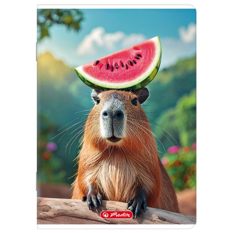 Zeszyt A5 32k linia z marginesem mix 400206338 HERLITZ