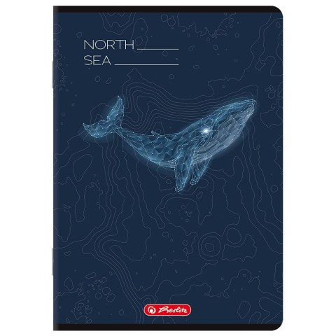 Zeszyt A5 60k linia z marginesem mix 400206346 HERLITZ